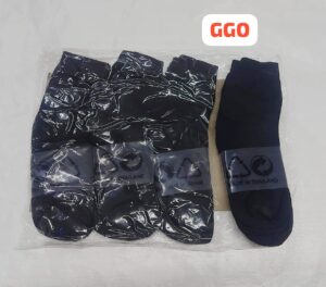 GS01