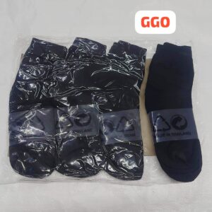 GS01