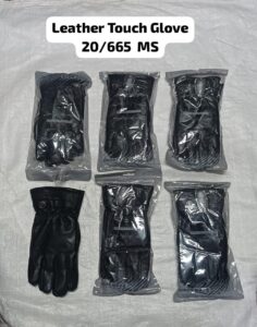 GGL19