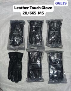 GGL19
