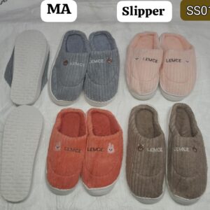 SS01